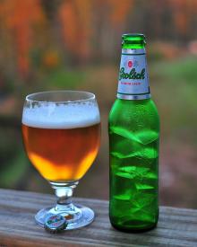 Grolsch  Lager   Beer 