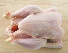 Whole Frozen  Chicken  Grade A Broiler and Griller