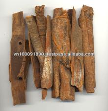 Split Cassia