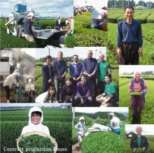 High quality japanese tea powder made for green tea leaves with superior durability