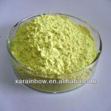  95 % Rutin  NF11 Extracts from sophora japonica
