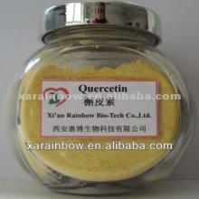 High level of Pharmaceutical grade 98% Quercetin