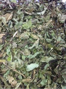  Peppermint   leaf  for herbal tea