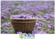 Top Qualtiy Supply 100% Natural  Organic   Saffron  Extract
