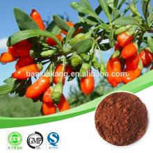 polysaccharide goji extract /organic goji extract / 100% natural goji berry extract