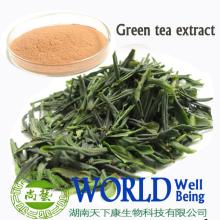 Green Tea Extract Tea Polyphenol (TP) Green Tea Polyphenols 30%-98%
