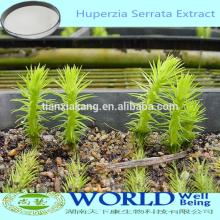 Factory Supply 1%5%10%Huperzine A  Huperzia  Serrata  Extract / Huperzia   Extract / Huperzia  Serrata  Extract 