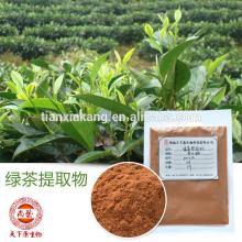 100% Natural Organic  Green   Tea  Extract Powder 30%-98% Tea  Polyphenols, 50%-98%EGCG  Bio   Green   Tea  Extr