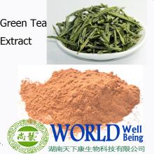 nature Green Tea Extract 30%-95% powder Tea polyphenol ( EGCG ) Epigallocatechin Gallate