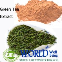 Organic green tea anti-cancer , losing weight extract powder Green Tea Polyphenols 95%