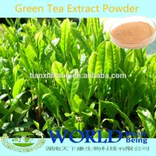 Factory Supply Low Price 98%Tea Polyphenols Green Tea Extract/Green Tea Extract Powder