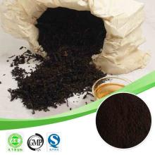 40% Tea Polyphenols for healthy or drinking black tea extract powder