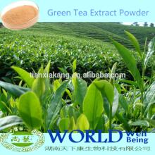 100% Natural Orangic Green Tea  Extract   EGCG  Powder/ EGCG   Extract  Powder