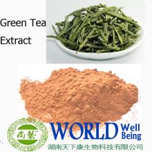 green tea polyphenols capsules / green tea powdered extract / bio green tea extract