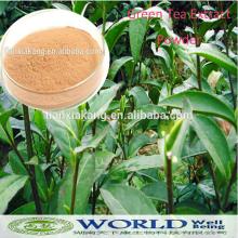Competitive Price 100% Natural Green  Tea  Extract  Tea   Polyphenols  with EGCG/ Green  Tea  Extract/ Tea  Po