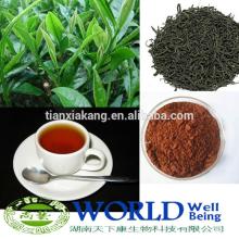 High Quality100% Natural Instant Black Tea Powder/Black Tea Extract Powder Low Price