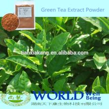 Factory Hot Selling Green Tea Extract 30%-98% Tea Polyphenols 50%-98% EGCG/Green Tea Extract Powder/