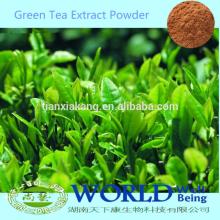 100% Natural Organic Zenergreen Super China Green Tea Extract Powder/Green Tea Powder/Green Tea Extr
