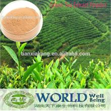 Green Tea Extract Green Tea Polyphenols HPLC/Green tea powder/Green tea powder/Green tea powder