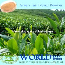 100% Natural Organic 50%-98% EGCG Green Tea Extract Powder,Green Tea Powder,Green Tea Extract