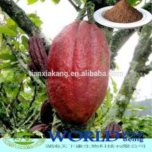 Hot Sell Lose Weight 10-20%Theobromine Cheap Price Cocoa Powder/Cocoa Extract Powder/Cocoa Extract/N