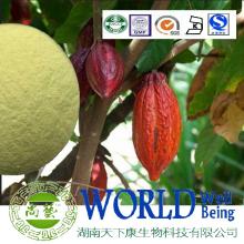 Cocoa extract theobromine Authentic fat free