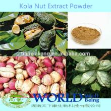 100% Natural Theobromin Coca Seed Extract/Coca Seed Extract Powder/Coca Seed Powder