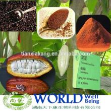 Hot Sel Cocoa Extract Powder Theobromine10-20% Cocoa Powder/Cocoa Seed Extract/Cocoa Extract Powder