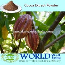 Factory Hot Selling Low Price Organic 10%-20% Theobromine Cocoa Extract Powder,Cocoa Bean Extract Po
