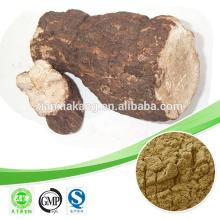 aloe vera polysaccharide extraction /maitake polysaccharide / ganoderma polysaccharides