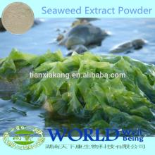 100% Natural  Seaweed   Extract / Seaweed   Extract   Powder /Liquid  Seaweed   Extract 