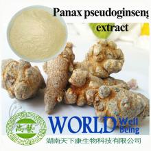  Panax   Notoginseng  extract