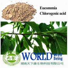 Chlorogenic acid 50%/ Eucommia   ulmoides  P.E/Anti-hypertensive
