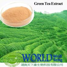 Green Tea extract/Tea powder/EGCG/Catechin