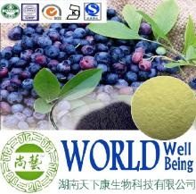Anthocyanin/Billberry extract/OPC/Anti-age