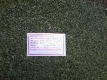  Botanical  Name: parsley(petrsellinum sativum)