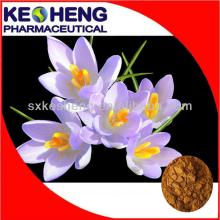 Factory supply pure saffron extract powder crocus sativus extract