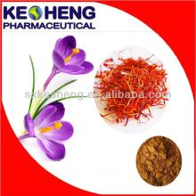 Pure Saffron Crocus Powder Extract (GMP,HACCP certificate)