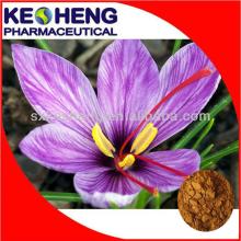 Saffron Extract Powder 10:1