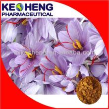 Saffron Extract Powder/Crocus sativus L.