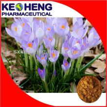 High Quality 4:1-20:1 Saffron Extract Powder