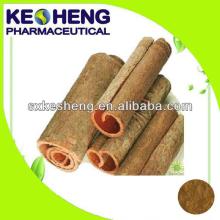 30% polyphenol cinnamon bark extract for Healthcare Products