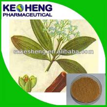 100% Green Brown Cinnamon Bark Extract