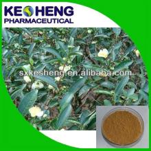 Cinnamon Bark Extract polyphenol 20% soluble in water