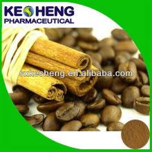 Green Cinnamon Bark Extract fine powder, Maitaining the blood sugar balance