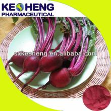 100% Natural beet /sugar sugar beets for sale