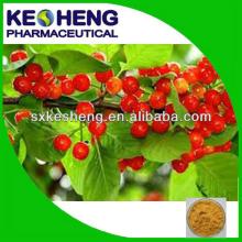 Xinjiang Goji  Berry  Wolf berry / Lycium  Barbarum