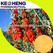 High quality Goji Berry/wolfberry extract polysaccharide 10%~50%,10:1,20:1