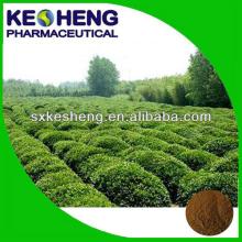 Factory Price Natural Green Tea Extract