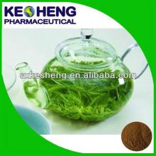 Green Tea extract (Tea polyphenol 20%-98%)